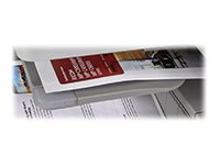 Ricoh One-Bin Tray BN3110 - bac de sortie - 125 feuilles 417585